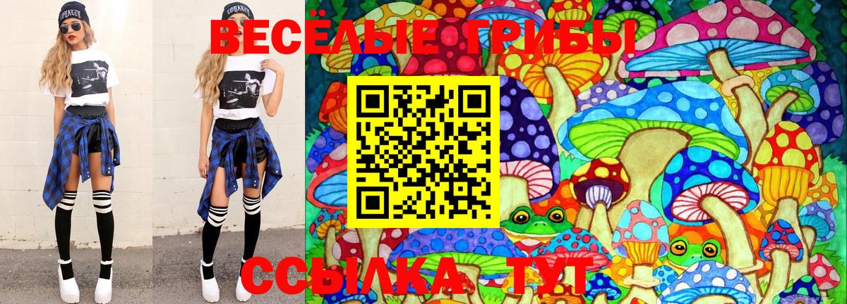 Клинцы  Галлюциногенные грибы Cubensis  сколько стоит  Вход с VPN 