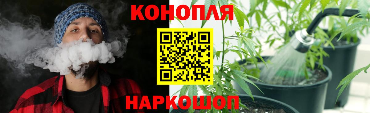 Шишки марихуана планчик Клинцы